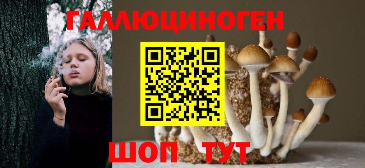 Псилоцибиновые грибы Magic Shrooms  Вход с VPN  Лесосибирск  Галлюциногенные грибы Psilocybe 